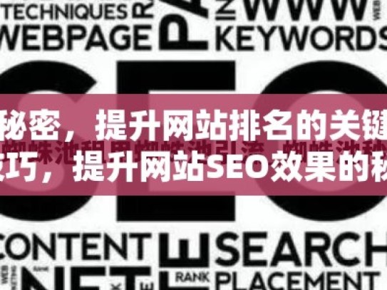 探索蜘蛛池优化的秘密，提升网站排名的关键策略掌握蜘蛛池优化技巧，提升网站SEO效果的秘诀！