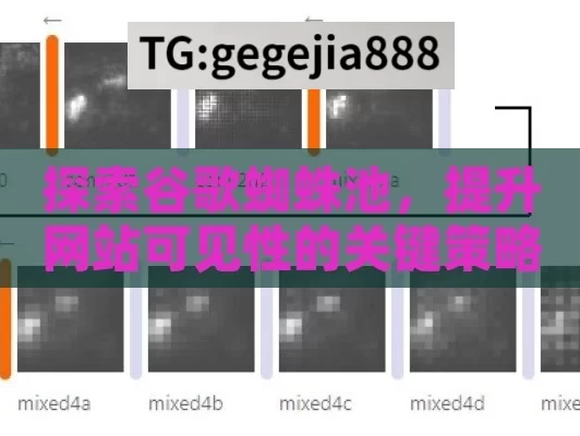 探索谷歌蜘蛛池，提升网站可见性的关键策略,揭秘谷歌蜘蛛池，提升网站抓取效率的关键策略