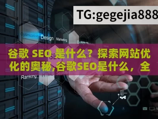 谷歌 SEO 是什么？探索网站优化的奥秘,谷歌SEO是什么，全面解析搜索引擎优化的奥秘