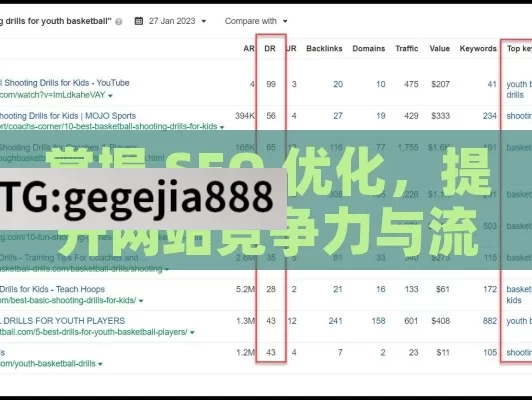 掌握 SEO 优化，提升网站竞争力与流量