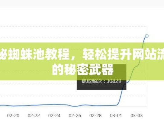 揭秘蜘蛛池教程，轻松提升网站流量的秘密武器