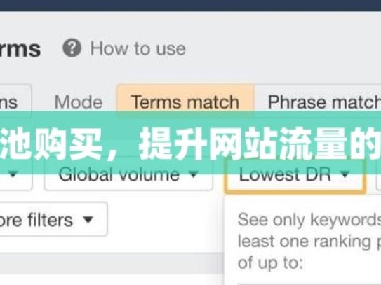 谷歌蜘蛛池购买，提升网站流量的秘密武器
