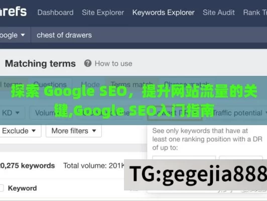 探索 Google SEO，提升网站流量的关键,Google SEO入门指南