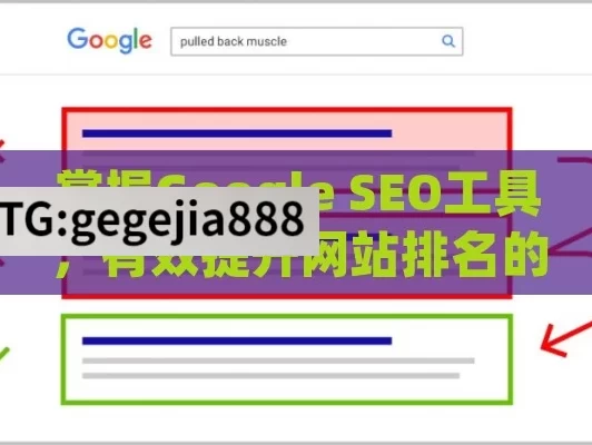 掌握Google SEO工具，有效提升网站排名的秘诀