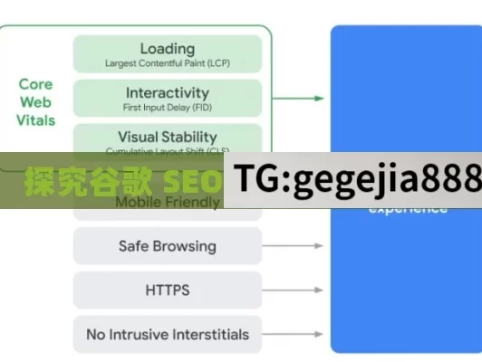 探究谷歌 SEO 排名算法的奥秘