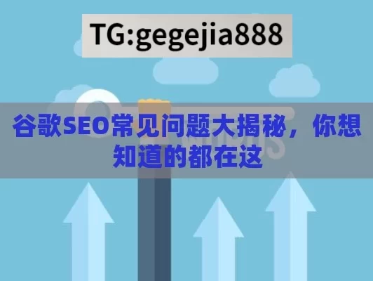 谷歌SEO常见问题大揭秘，你想知道的都在这