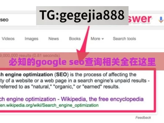 必知的google seo查询相关全在这里