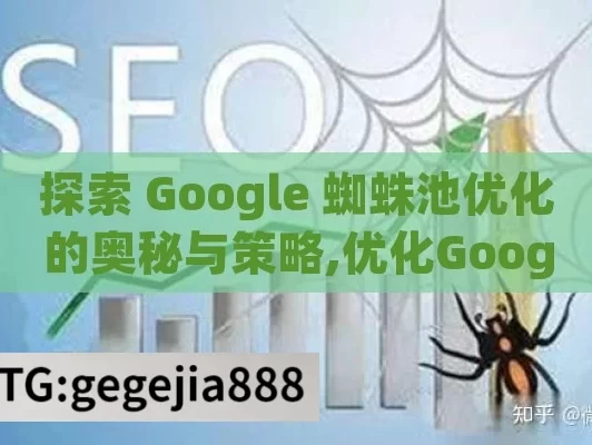 探索 Google 蜘蛛池优化的奥秘与策略,优化Google蜘蛛池，提升网站排名