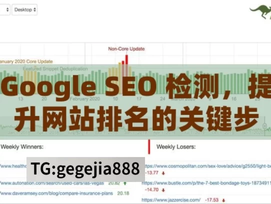 Google SEO 检测，提升网站排名的关键步骤，Google SEO 检测与提升