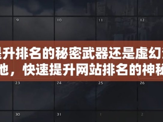 谷歌蜘蛛池，提升排名的秘密武器还是虚幻泡影？揭秘谷歌蜘蛛池，快速提升网站排名的神秘工具