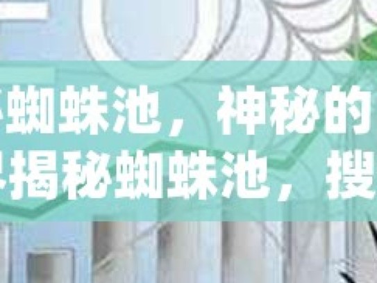 探秘蜘蛛池，神秘的网络世界揭秘蜘蛛池，搜索引擎优化的神秘工具