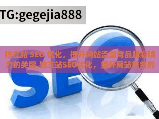 独立站 SEO 优化，提升网站流量与品牌影响力的关键,独立站SEO优化，提升网站排名的秘诀