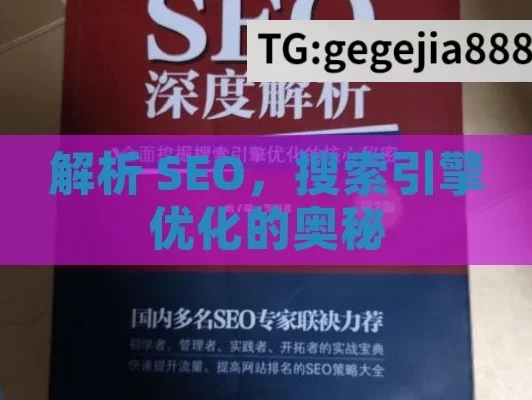 解析 SEO，搜索引擎优化的奥秘