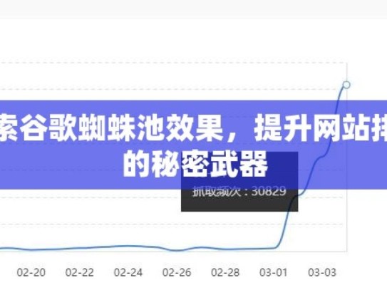 探索谷歌蜘蛛池效果，提升网站排名的秘密武器