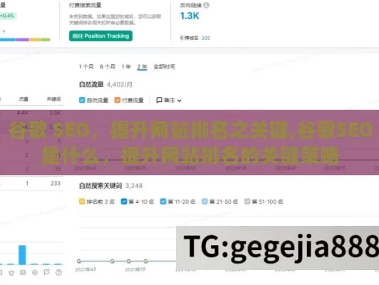 谷歌 SEO，提升网站排名之关键,谷歌SEO是什么，提升网站排名的关键策略