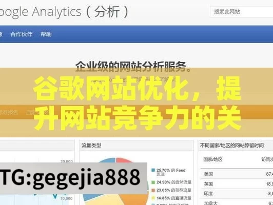 谷歌网站优化，提升网站竞争力的关键,谷歌网站优化秘籍