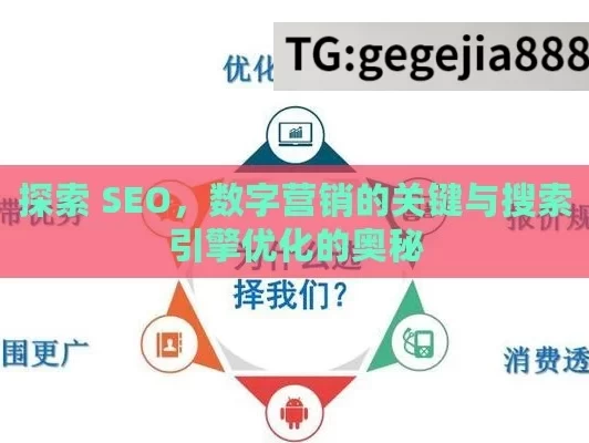 探索 SEO，数字营销的关键与搜索引擎优化的奥秘