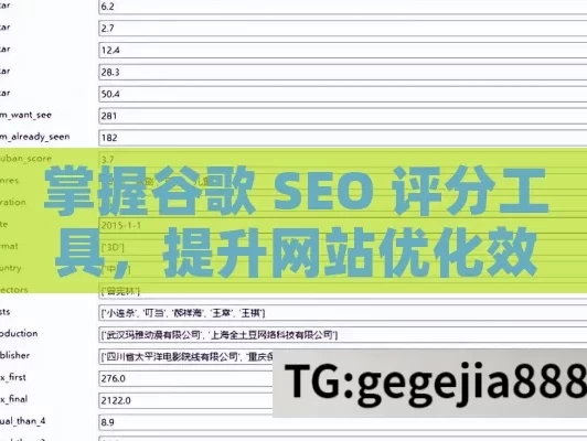 掌握谷歌 SEO 评分工具，提升网站优化效果,谷歌SEO评分工具使用指南