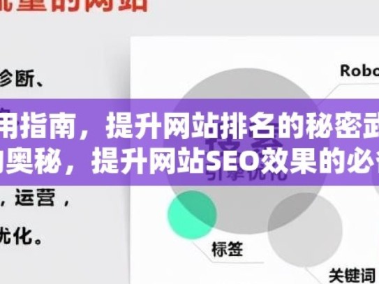 谷歌蜘蛛池使用指南，提升网站排名的秘密武器揭秘谷歌蜘蛛池的奥秘，提升网站SEO效果的必备工具