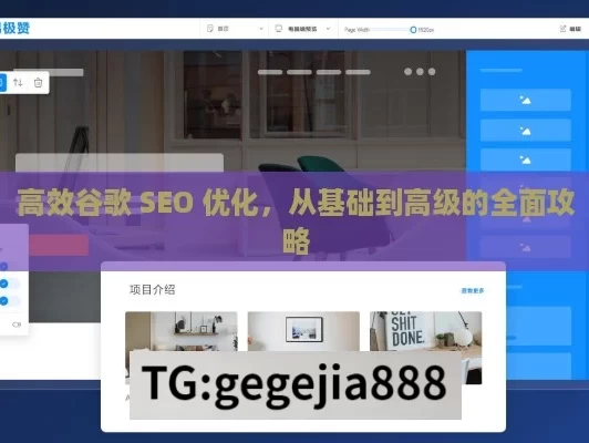 高效谷歌 SEO 优化，从基础到高级的全面攻略