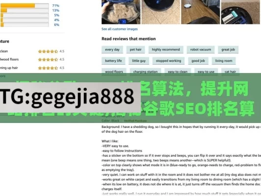 探秘谷歌 SEO 排名算法，提升网站排名的关键,揭秘谷歌SEO排名算法，掌握核心要素，提升网站排名