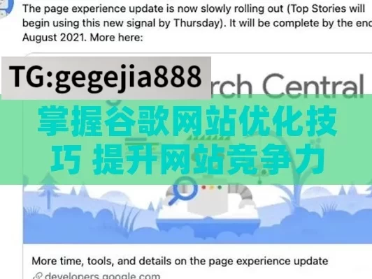 掌握谷歌网站优化技巧 提升网站竞争力
