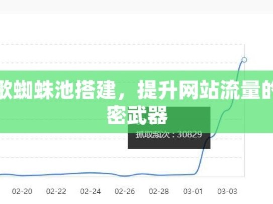 谷歌蜘蛛池搭建，提升网站流量的秘密武器