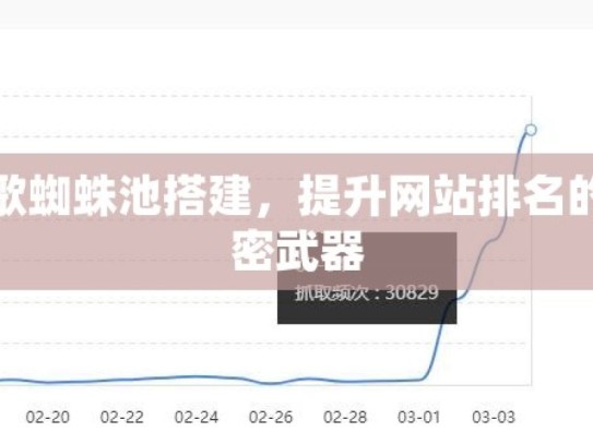 谷歌蜘蛛池搭建，提升网站排名的秘密武器