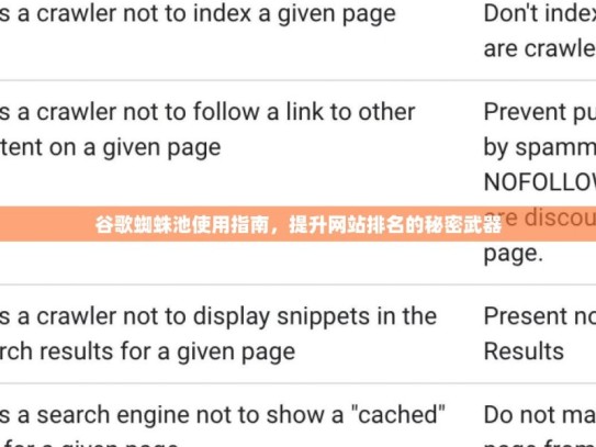 谷歌蜘蛛池使用指南，提升网站排名的秘密武器