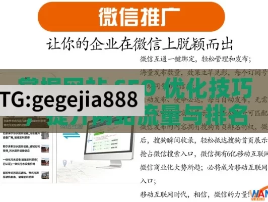 掌握网站 SEO 优化技巧，提升网站流量与排名,网站SEO优化技巧全解析