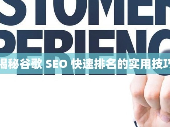 揭秘谷歌 SEO 快速排名的实用技巧