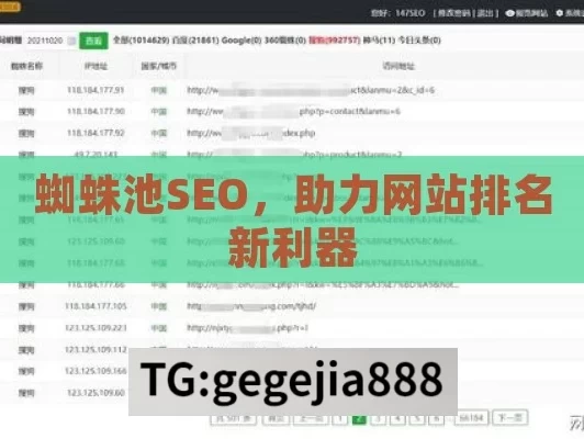 蜘蛛池SEO，助力网站排名新利器