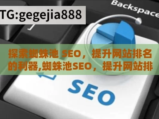 探索蜘蛛池 SEO，提升网站排名的利器,蜘蛛池SEO，提升网站排名的秘密武器