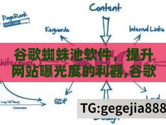 谷歌蜘蛛池软件，提升网站曝光度的利器,谷歌蜘蛛池软件，网站排名的秘密武器