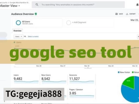 google seo tool