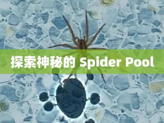 探索神秘的 Spider Pool