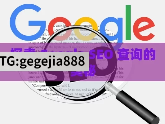 探索 Google SEO 查询的奥秘