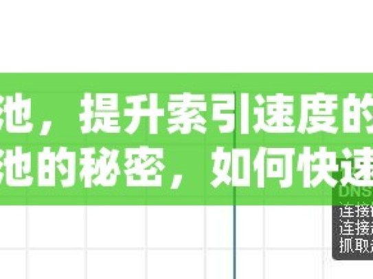 谷歌蜘蛛池，提升索引速度的秘密武器谷歌蜘蛛池的秘密，如何快速提高网站索引速度？