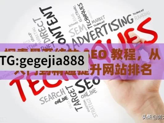 探索最系统的 SEO 教程，从入门到精通提升网站排名