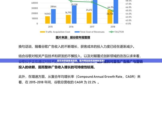 探究谷歌蜘蛛池效果，提升网站排名的神秘武器？