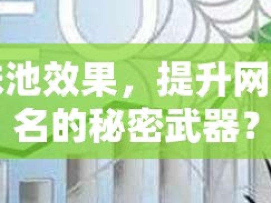 蜘蛛池效果，提升网站排名的秘密武器？