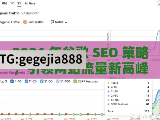 2024 年谷歌 SEO 策略，引领网站流量新高峰,2024年最新谷歌SEO策略揭秘