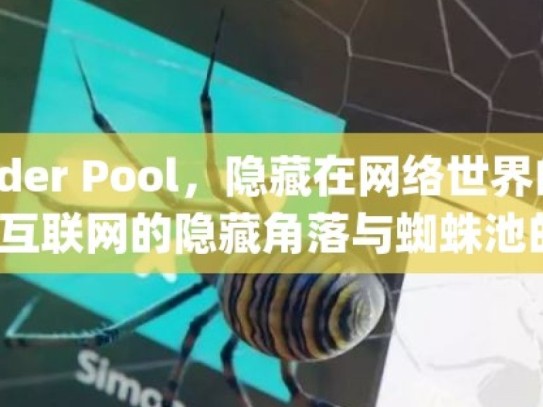 探索神秘的 Spider Pool，隐藏在网络世界的宝藏揭秘Spider Pool，互联网的隐藏角落与蜘蛛池的神秘面纱