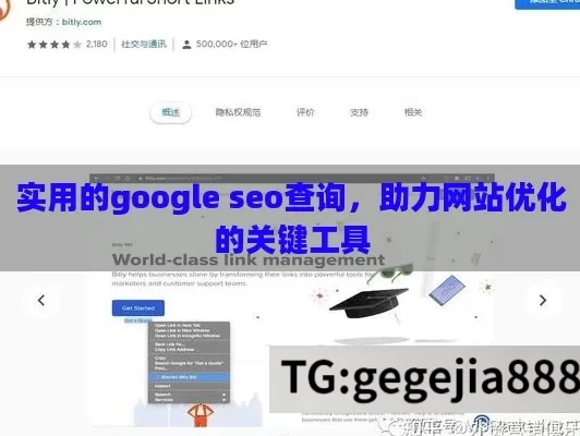 实用的google seo查询，助力网站优化的关键工具