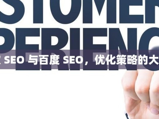 谷歌 SEO 与百度 SEO，优化策略的大不同