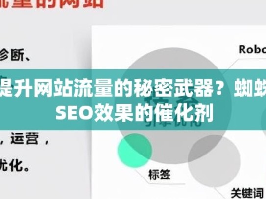 蜘蛛池效果，提升网站流量的秘密武器？蜘蛛池技术，网站SEO效果的催化剂