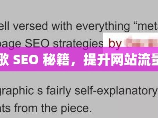 掌握谷歌 SEO 秘籍，提升网站流量与排名