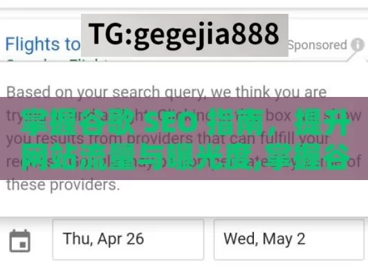 掌握谷歌 SEO 指南，提升网站流量与曝光度,掌握谷歌SEO指南