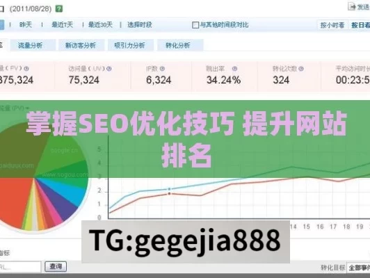 掌握SEO优化技巧 提升网站排名