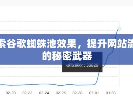 探索谷歌蜘蛛池效果，提升网站流量的秘密武器